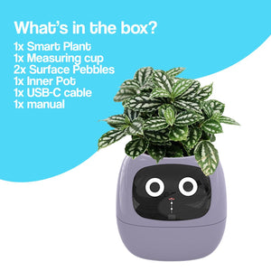 Meet Ivy - AI Powered GrowBuddy Smart Plant Care System