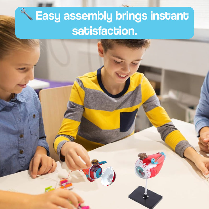 Little Anatomist 4D Build & Learn Science Kits